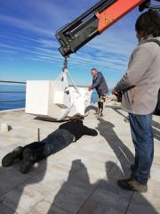 Forma viva se premika - Dve kamniti skulpturi zadnjega simpozija postavljeni na izbrani lokaciji 7